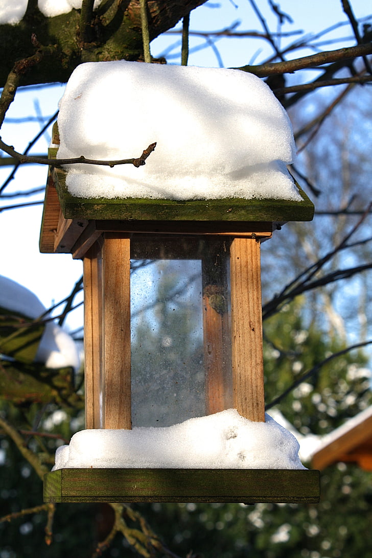 bird, feeder, winter, snow, garden, nature, outdoor