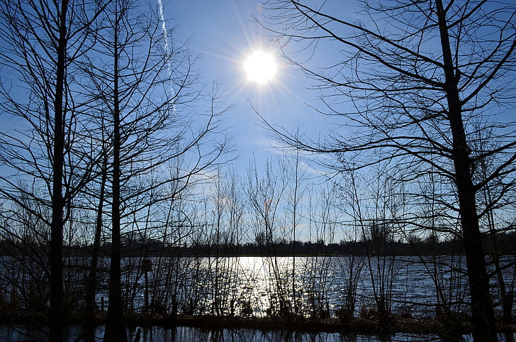 한낮의 태양, gegenlichtaufnahme, 짧은 서사시, 호수, 자연, 트리, 숲