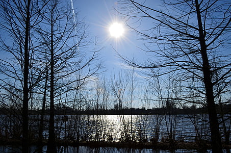 mặt trời giữa trưa, gegenlichtaufnahme, Idyll, Lake, Thiên nhiên, cây, rừng