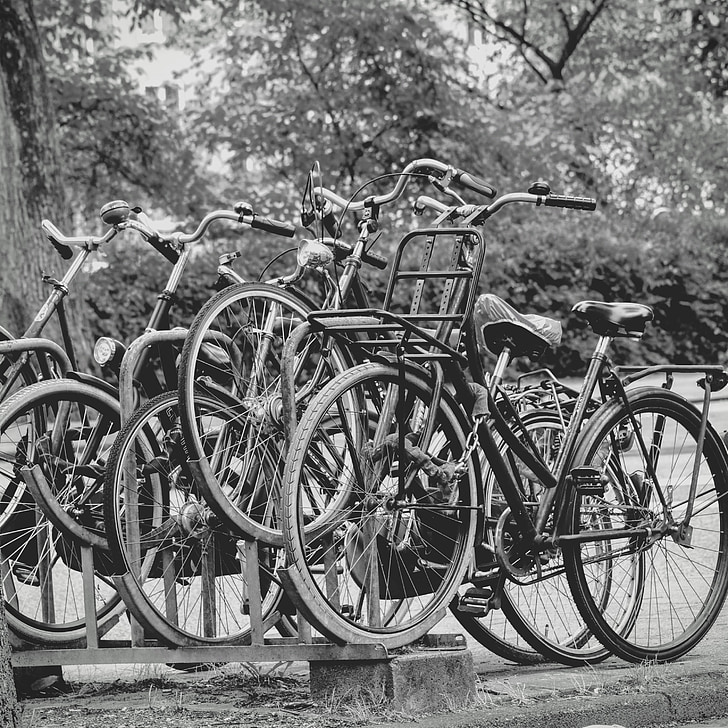 Amsterdam, rowery, czarno-białe, Holandia, rower, cyklu