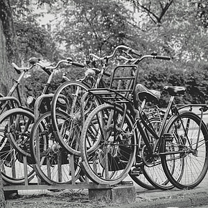 Amsterdam, cyklar, svart och vitt, Nederländerna, cykel, cykel