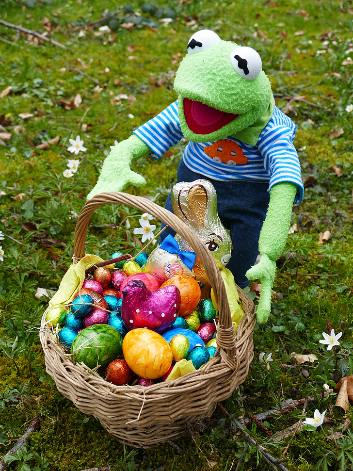 easter, search, easter eggs, osterkorb, easter nest, to find, spring