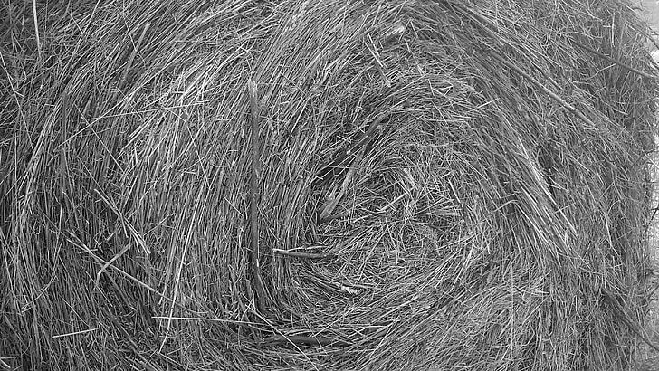 bale of hay, field, summer, backgrounds, hay, black And White