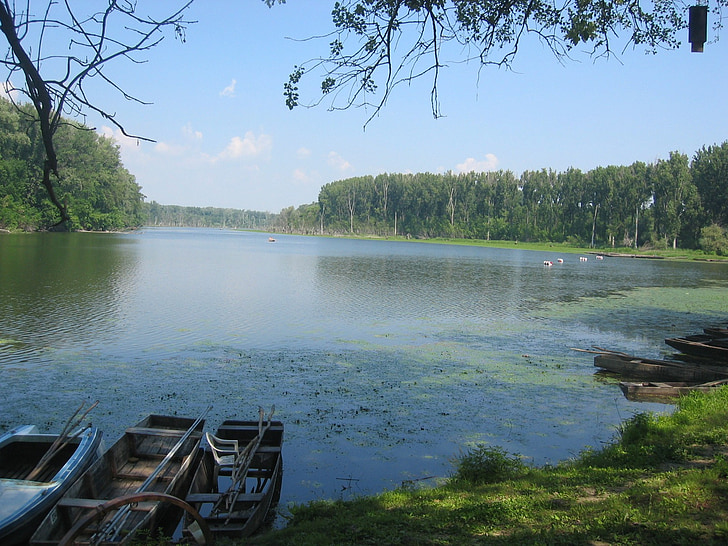 Тиса, вода, езеро, река, Южна Унгария, marthely