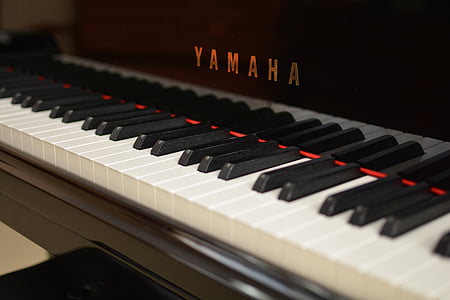piano, teclado, Yamaha, música, preto e branco, instrumento musical, chave