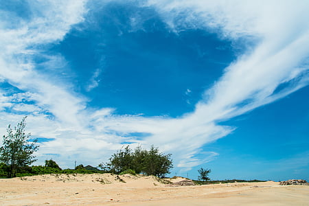 písečné duny, bílý oblak, modrá obloha, malé keře
