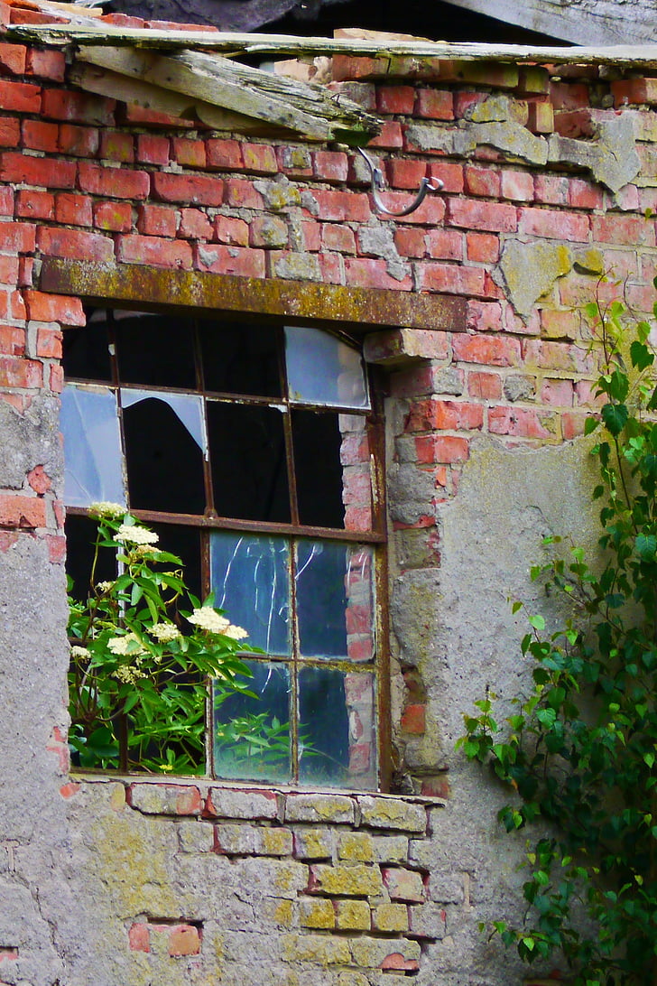 Avaleht, vana, fassaad, lapsed, vana hoone, vana akna raamid, häving