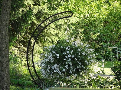 Jardinière suspendue, fleurs blanches, Pétunia, géraniums, nature, plante