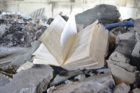 libro, libro abandonado, basura