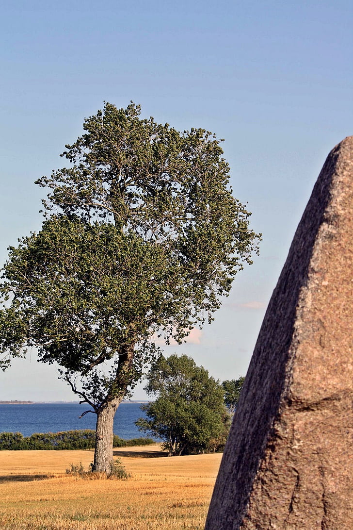 Megalithic mộ, Tolkien, người Viking, Đan Mạch, đảo Lolland, kragenäs, Foundling