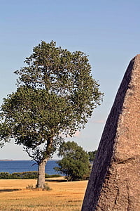 megalitic mormânt, Tolkien, Viking, Danemarca, în Lolland, kragenäs, copil găsit