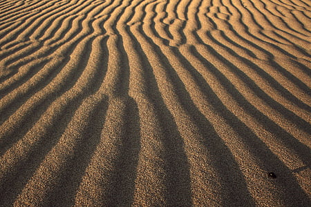zonas áridas, estéril, desierto, seco, paisaje, patrón de, arena
