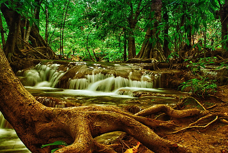 Baum, Wasserfall, Wald, Natur, -Nationalpark, Thailand, Wald