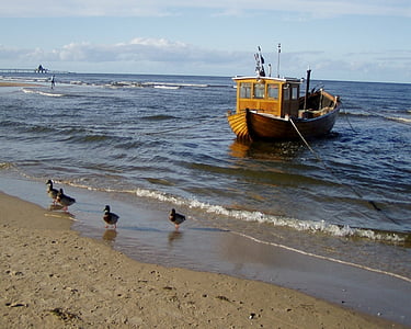 Østersjøen, sjøen, fiskebåt, ender, Duck, stranden, nautiske fartøy