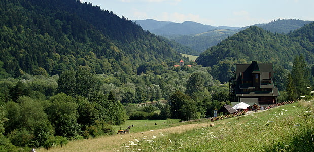 Pieniny, Polen, Landschaft, Berge, Natur, Berg, Europäische Alpen
