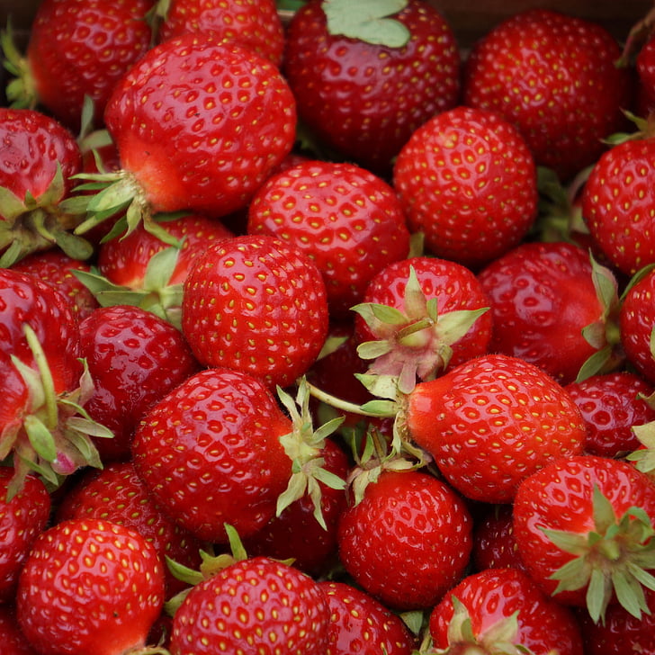 φράουλες, μούρα, κόκκινα μούρα, πράσινο μίσχο, φράουλα, μούρο