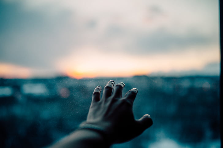 hand, macro, sunrise, sunset
