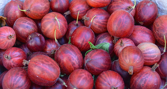 gooseberry, berry, left untreated, market, purchasing, bio, food