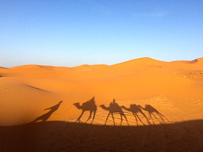 Sachara, smėlio, Gamta, dykuma, sausas, Afrika, kelionės