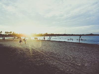 group, persons, beach, ocean, sun, sunset, sand beach