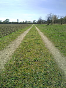 sätt, fältet, land, sökväg, Farm lane, Country lane, gräs