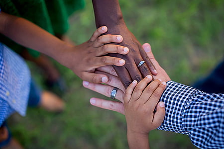 mãos, vida, redemoinho, família interracial, chocolate rosa, amor, família