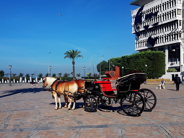 Izmir, Törökország, kastély, EGE, Square, lovas kocsi, ló