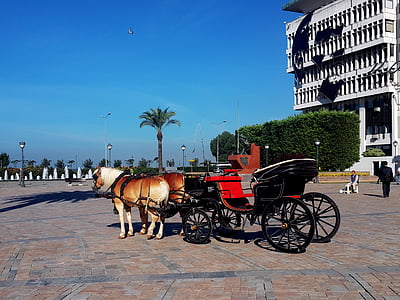 Izmir, Törökország, kastély, EGE, Square, lovas kocsi, ló