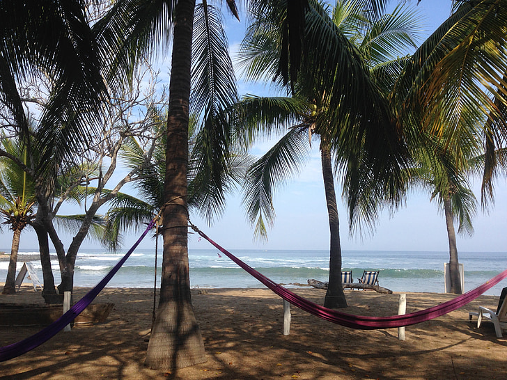 mexico, guerrero, beach, palms, hammock, sand