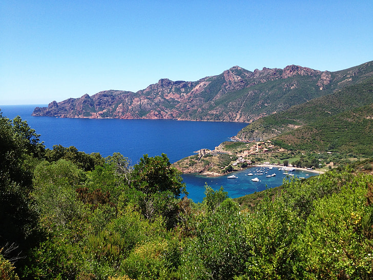 Korzički, more, krajolik, divlje, Otok, ljepote, potok