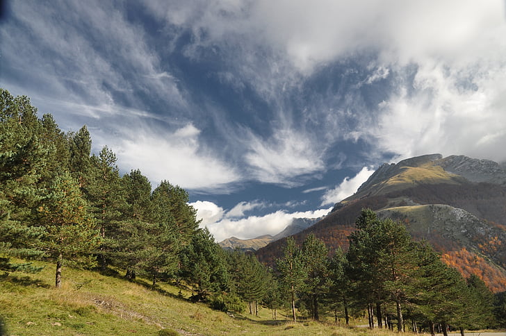 Hora, Pyrénées, Španělsko, Huesca, jehličnaté, obloha, mraky