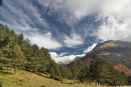 planine, Pyrénées, Španjolska, Huesca, crnogoričnih, nebo, oblaci