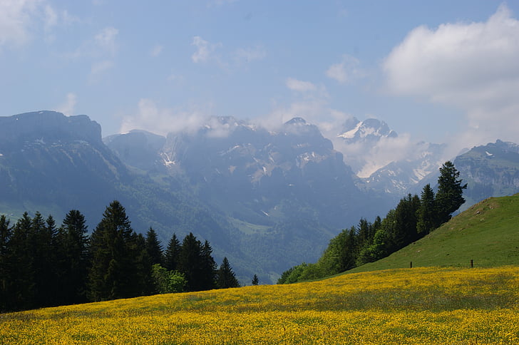 montagnes, alpin, Suisse, randonnée pédestre, vacances, paysage, Appenzell