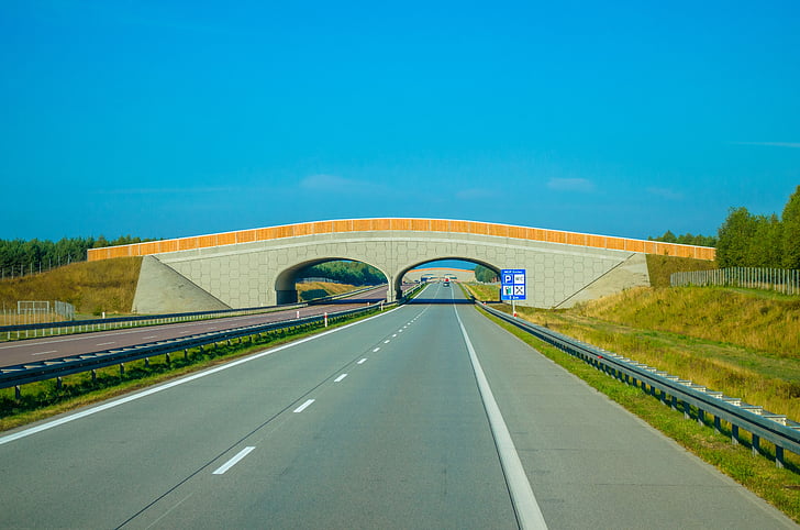 carretera, pista, autopista, Europa, Polonia, tráfico, un vacío