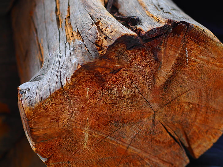 madera, árbol, corte, Finlandia, antiguo, rústico, naturaleza
