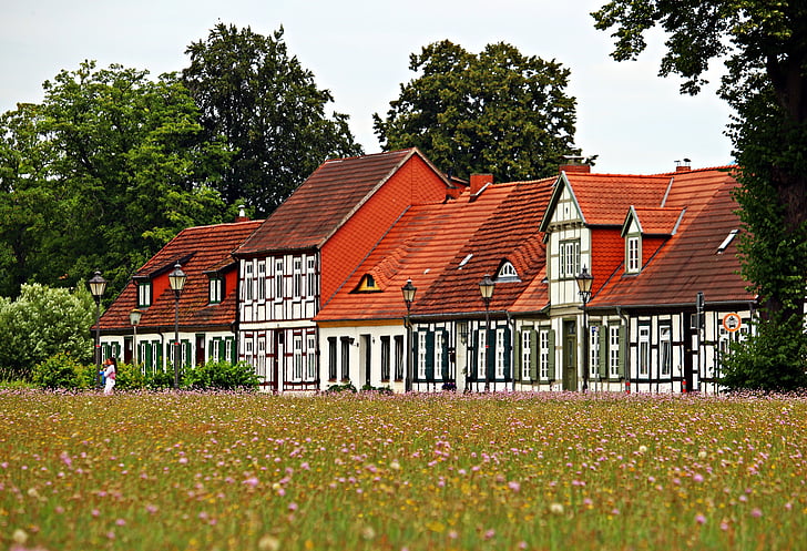 Ludwigslust-parchim, rácsos, haza, rét, virágok, virág meadow, fachwerkhaus