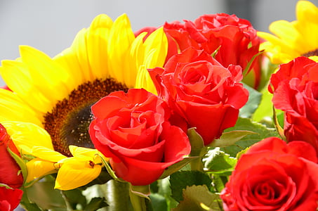 květiny, kytice, růže, Sun flower, červená