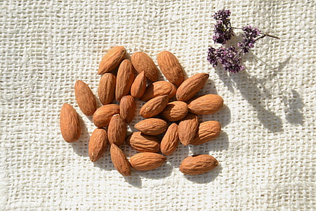 almond, nuts, kernel, products, healthy foods, food, vegetarianism