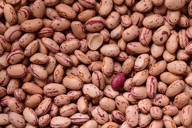 beans, quail beans, legumes, healthy, meatless, vegetarian, nutrition