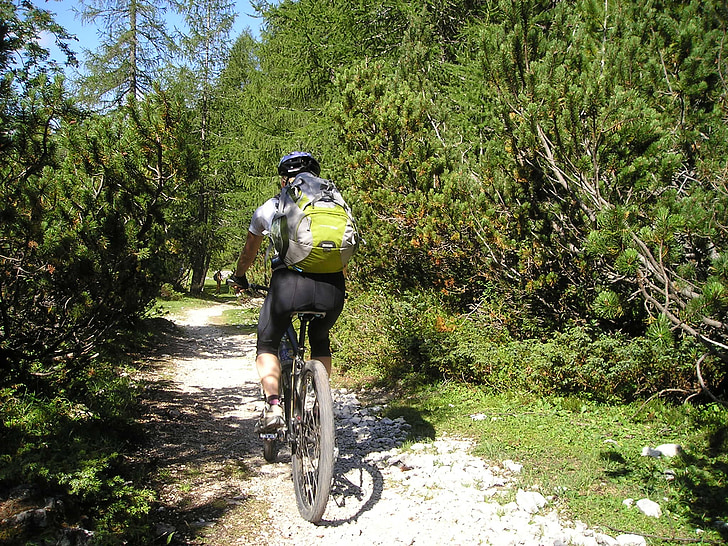 mountain bike, bike, transalp, professional cyclist, singletrail, forest, sporty