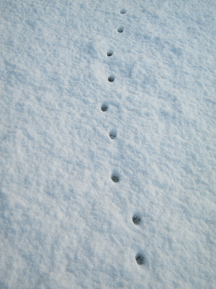 brands, snow, treads, cold, winter, white, hole