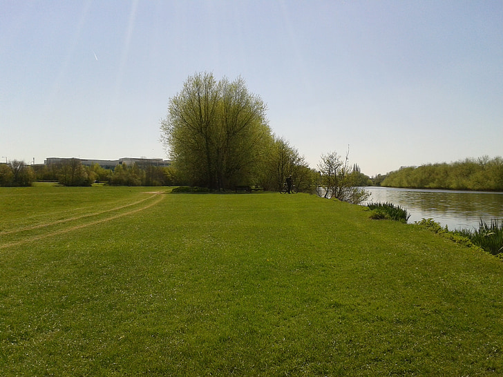 řeka, parku, tráva, pole, cyklista, jaro, venku