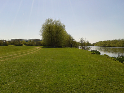 sông, công viên, cỏ, lĩnh vực, tay đua xe đạp, mùa xuân, hoạt động ngoài trời
