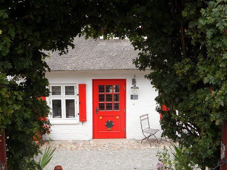 casa, Mar Bàltic, Darß, porta, vermell, acollidor, ingrowing