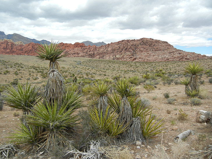 Mojave, deserto, montanhas, Canyon, trilhas, caminhadas, Estados Unidos da América