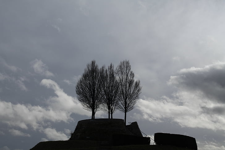 inverno, alberi, Kahl, grigio, silhouettes, cielo