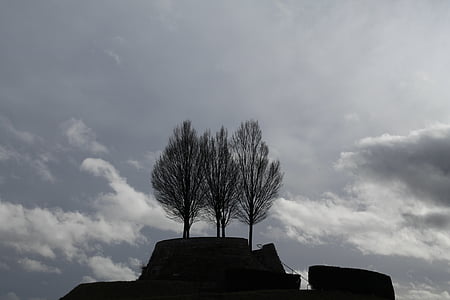 hiver, arbres, Kahl, gris, silhouettes, Sky