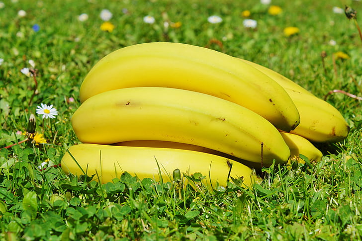 banány, ovocie, ovocie, jedlo, žltá, zdravé, Príroda