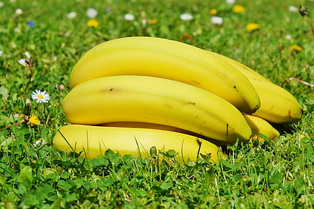 bananer, frukter, frukt, mat, gul, friska, naturen
