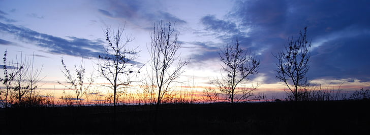 solnedgång, färg, molnet, trä, dunge